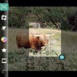 Download Photogene Cell Phone Software